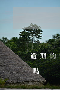 逾期的信用卡 注銷(逾期的信用卡 注銷有影響嗎)