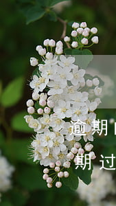 逾期的信用卡注销了会影响信用吗（信用卡逾期过久核销）