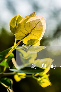 逾期的信用卡申請小貸(信用卡逾期貸款)