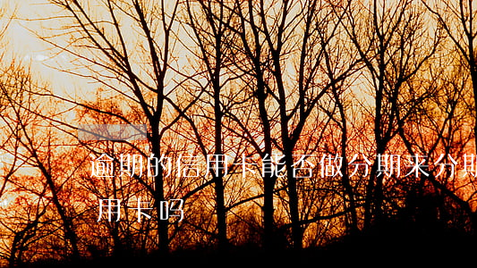 逾期的信用卡能否做分期 来分期逾期能办信用卡吗