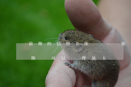 逾期的信用卡能補辦嗎(如果有一張信用卡逾期,還可以辦理新卡嗎?)