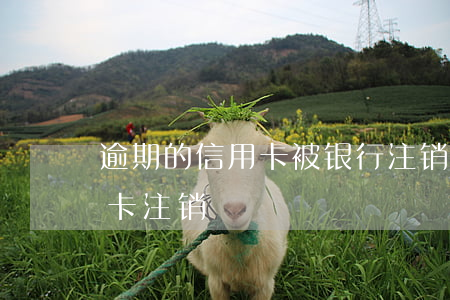 逾期的信用卡被银行注销怎么办(银行卡信用卡注销)