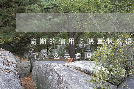 逾期的信用卡賬單怎么還(信用卡逾期了還完了怎么去處理)