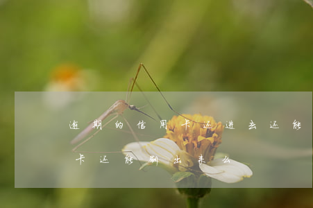 逾期的信用卡还进去还能用吗（多次逾期信用卡还能刷出来么）