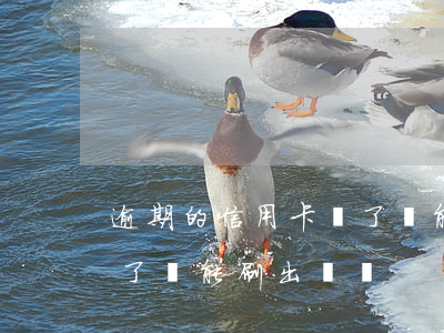 逾期的信用卡還了還能刷嗎（信用卡逾期了還了還能刷出來嗎）