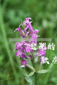 逾期的信用卡還了還能刷嗎（刷信用卡逾期不還款有什么后果）