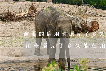 逾期的信用卡還完了多久能在用-逾期的信用卡還完了多久能在用啊