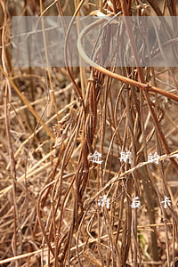 逾期的信用卡還完了還能用嗎（信用卡逾期還清后卡不能用了）