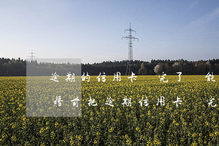 逾期的信用卡還完了還能用嗎（結(jié)婚前把逾期信用卡還完）