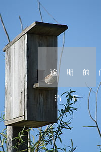 逾期的信用卡還完可以注銷嗎（信用卡逾期還清后銷戶怎么辦）