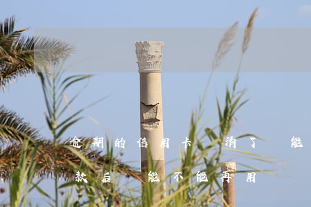 逾期的信用卡還清了還能用嗎（信用卡逾期還款后還能不能再用）