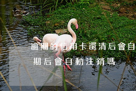 逾期的信用卡還清后會自動注銷嗎（信用卡逾期后會自動注銷嗎）