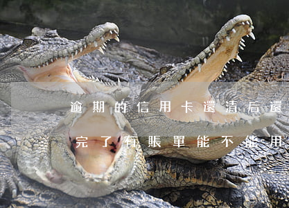 逾期的信用卡還清后還能用嗎（信用卡逾期還完了有賬單能不能用）
