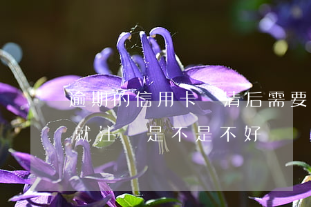 逾期的信用卡還清后需要注銷嗎（信用卡逾期就注銷是不是不好）