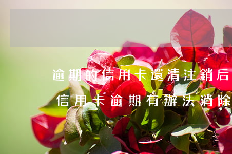 逾期的信用卡還清注銷后不良記錄會消除嗎（信用卡逾期有辦法消除記錄嗎）