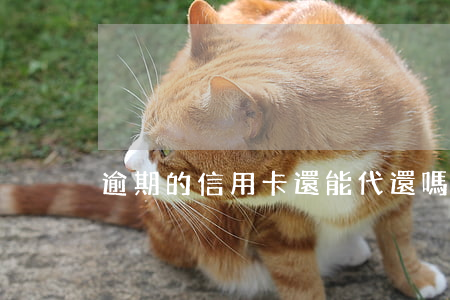 逾期的信用卡還能代還嗎(代還信用卡違法嗎?)