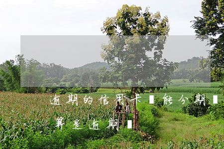 逾期的信用卡還能分期嗎（信用卡有分期還款算是逾期嗎）