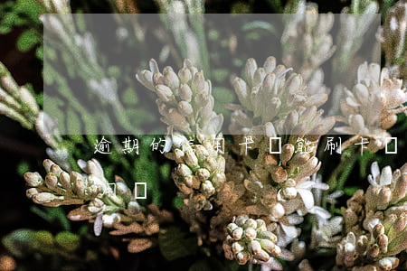 逾期的信用卡還能刷卡嗎 逾期過信用卡還能用嗎