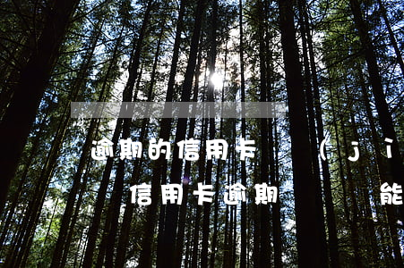 逾期的信用卡還進(jìn)去還能刷出來嗎（信用卡逾期沒還夠能刷出來嗎）
