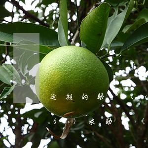 逾期的助學(xué)貸款怎么還(國(guó)家助學(xué)金貸款逾期怎么還款)