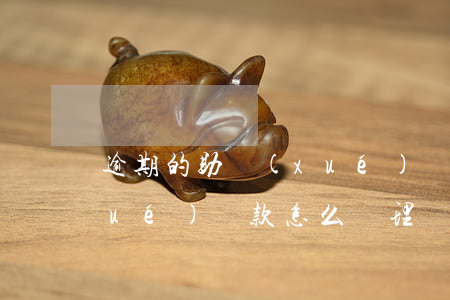 逾期的助學(xué)貸款(逾期的助學(xué)貸款怎么處理)