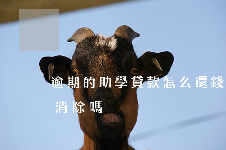 逾期的助學貸款怎么還錢(助學貸款逾期可以消除嗎)