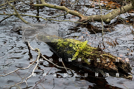逾期的包裝押金怎么計算消費稅-逾期的包裝押金怎么計算消費稅呢