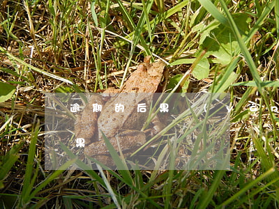 逾期的后果嚴(yán)重嗎 逾期有哪些后果