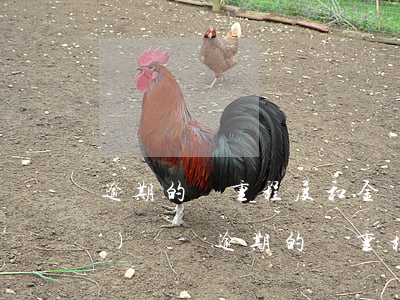 逾期的嚴重程度和金額大小有關(guān)嗎-逾期的嚴重程度和金額大小有關(guān)嗎