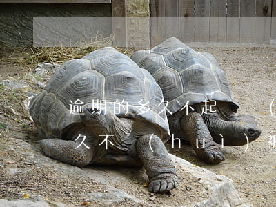 逾期的多久不起訴會(huì)失效(逾期多久不會(huì)被起訴)