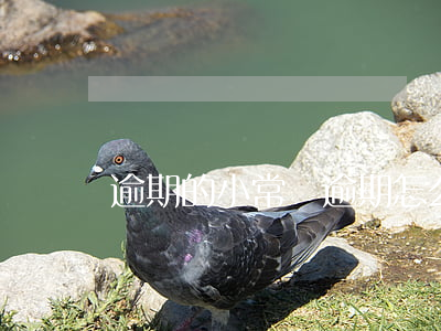 逾期的小常識 逾期怎么回事
