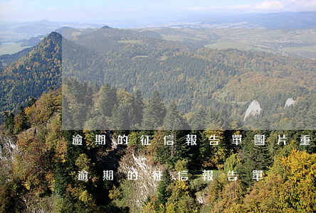 逾期的征信報告單圖片，重要提醒：請盡快處理逾期的征信報告單！