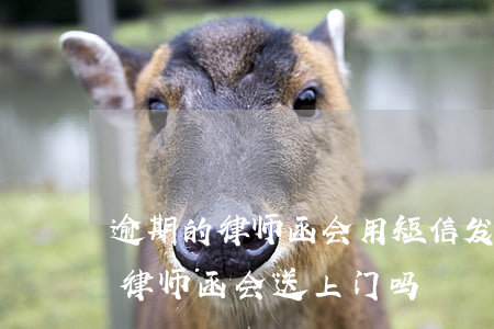 逾期的律师函会用短信发送通知嘛-逾期后律师函会送上门吗