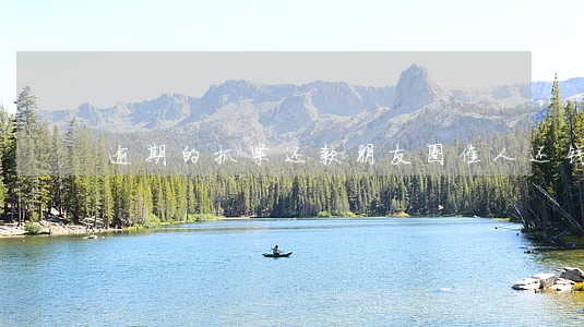 逾期的抓紧还款朋友圈(催人还钱的朋友圈)