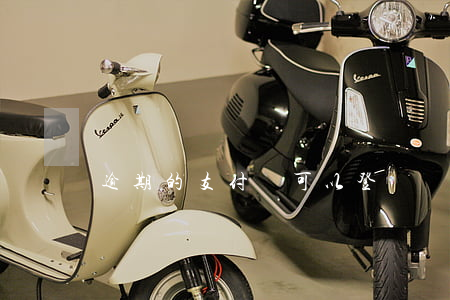 逾期的支付寶可以登錄嗎(支付寶有沒有逾期)
