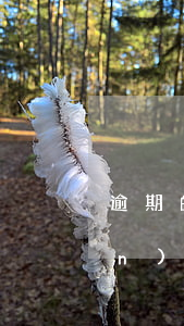 逾期的最新規(guī)定（法院關(guān)于逾期相關(guān)規(guī)定）