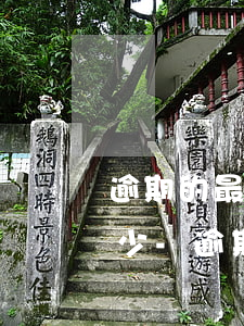 逾期的最高利息不超過總數(shù)的多少-逾期最高利息是多少