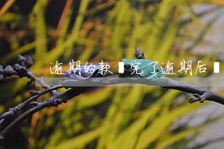 逾期的款還完了(逾期后還清)