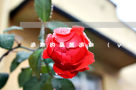 逾期的痛苦 逾期嚴(yán)重嗎