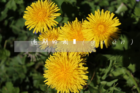逾期的相關(guān)知識競賽