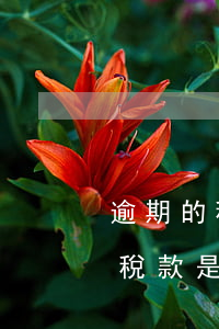 逾期的稅款是一定要到窗口付款嗎-逾期的稅款是一定要到窗口付款嗎為什么