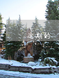 逾期的糾紛-逾期屬于什么糾紛