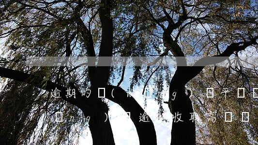 逾期的網(wǎng)貸平臺滯納金(網(wǎng)貸逾期收取高額滯納金是否合法)