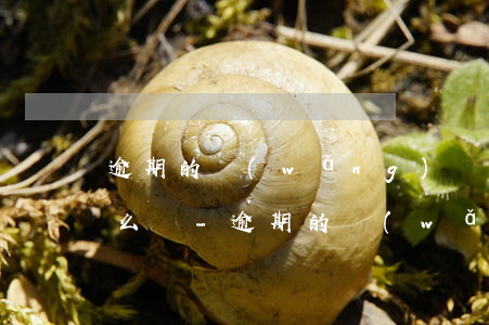 逾期的網(wǎng)貸找不到還款渠道怎么辦-逾期的網(wǎng)貸找不到還款渠道怎么辦呢