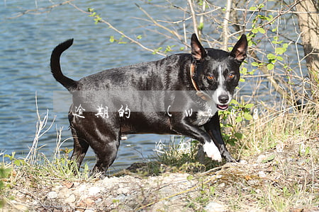 逾期的網(wǎng)貸還清后注銷有啥影響嗎-逾期的網(wǎng)貸還清后注銷有啥影響嗎知乎