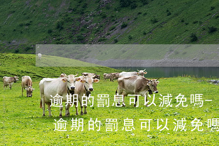 逾期的罰息可以減免嗎-網(wǎng)貸逾期的罰息可以減免嗎