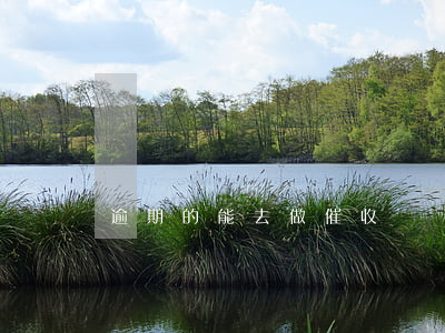 逾期的能去做催收嗎 過年逾期會不會催收