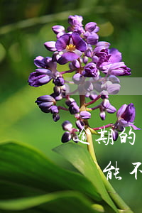 逾期的話還可以貸款不(我逾期了但是還完了,還能不能貸款)