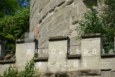 逾期的貸款已全款還清(逾期多久會(huì)要求全款還清)