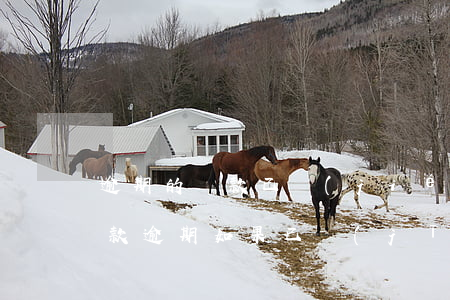 逾期的貸款已結(jié)清怎么辦(銀行貸款逾期如果已經(jīng)結(jié)清了多久消除)